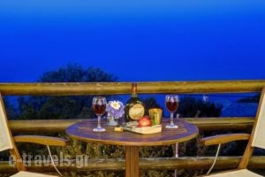 Hotel Zagora_best prices_in_Hotel_Thessaly_Magnesia_Portaria