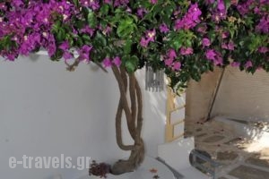 Eleftheria Veloudiou_best deals_Hotel_Cyclades Islands_Tinos_Tinosora