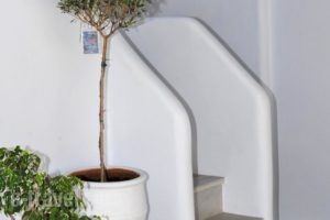 Eleftheria Veloudiou_travel_packages_in_Cyclades Islands_Tinos_Tinosora