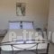 Kalliope Apartments_lowest prices_in_Room_Ionian Islands_Lefkada_Lefkada Chora