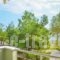 Alegria Studios_best deals_Room_Aegean Islands_Thasos_Chrysi Ammoudia