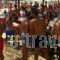 Syrtaki_lowest prices_in_Hotel_Macedonia_Kavala_Nea Peramos