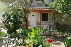 Villa Galini_s __1