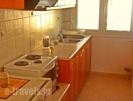 Rosmarinus studios_lowest prices_in_Room_Aegean Islands_Samos_Potokaki