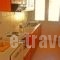 Rosmarinus studios_lowest prices_in_Room_Aegean Islands_Samos_Potokaki