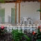 Studios Fraxi_best prices_in_Apartment_Ionian Islands_Lefkada_Nikiana