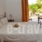 Kasimis_best prices_in_Hotel_Thessaly_Magnesia_Pilio Area