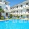 Dolphin Beach Hotel_holidays_in_Hotel_Macedonia_Halkidiki_Kassandreia