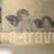 Anthippi_lowest prices_in_Hotel_Cyclades Islands_Paros_Paros Chora