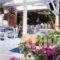 Yianna Hotel_travel_packages_in_Piraeus islands - Trizonia_Agistri_Agistri Rest Areas