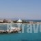 Yianna Hotel_best deals_Hotel_Piraeus islands - Trizonia_Agistri_Agistri Rest Areas