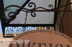 Oikeion_s __1