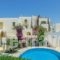 Hotel Proteas_best prices_in_Hotel_Cyclades Islands_Naxos_Agios Prokopios