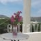 Hassouri Vasso Rooms_lowest prices_in_Room_Cyclades Islands_Paros_Piso Livadi