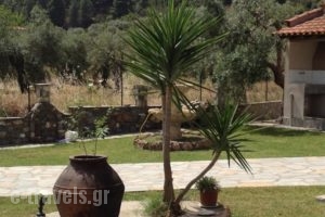 Studios Voula_holidays_in_Hotel_Macedonia_Halkidiki_Chalkidiki Area