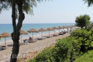 D'Andrea Mare Beach Hotel_holidays_in_Hotel_Dodekanessos Islands_Rhodes_Archagelos