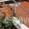 Metohi Georgila_holidays_in_Hotel_Crete_Chania_Platanias