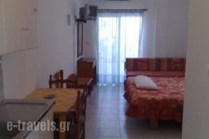 Lena Studios_best deals_Hotel_Macedonia_Halkidiki_Haniotis - Chaniotis