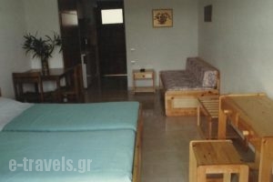 Alexander_lowest prices_in_Hotel_Macedonia_Halkidiki_Haniotis - Chaniotis