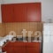 Ifigenia Apartments_holidays_in_Room_Piraeus Islands - Trizonia_Aigina_Agia Marina