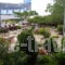 Ifigenia Apartments_best prices_in_Room_Piraeus Islands - Trizonia_Aigina_Agia Marina