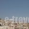 Archontissa_best prices_in_Hotel_Cyclades Islands_Syros_Syros Rest Areas