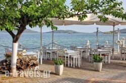 Mira Mare_s __1