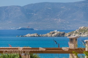 Diamantis studios_lowest prices_in_Apartment_Cyclades Islands_Naxos_Mikri Vigla