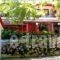 Studios Rania_accommodation_in_Apartment_Aegean Islands_Samothraki_Samothraki Chora