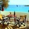 Logaras Apartments_best prices_in_Apartment_Cyclades Islands_Paros_Piso Livadi