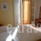 Alexandris_travel_packages_in_Piraeus Islands - Trizonia_Spetses_Spetses Chora