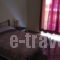 The Viktoria Inn_holidays_in_Room_Central Greece_Attica_Athens