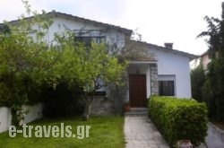Beachfront Villa Haniotis_s __1
