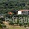 Ktima Papakonstanti Dimitri_travel_packages_in_Peloponesse_Lakonia_Gythio