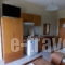 Afroditi_holidays_in_Apartment_Macedonia_Pieria_Paralia Katerinis