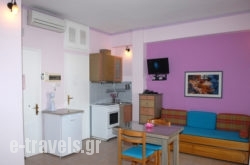 Konstantza Studios_s __1