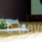 Alkistis Hotel_holidays_in_Hotel_Thessaly_Magnesia_Portaria