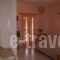 Arokaria_accommodation_in_Apartment_Ionian Islands_Kefalonia_Mousata