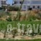 Minas Apartments_holidays_in_Apartment_Crete_Heraklion_Piskopiano