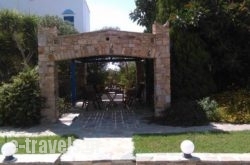 Mateus Studios_s __1