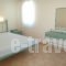 Mateus Studios_travel_packages_in_Cyclades Islands_Naxos_Naxos Chora