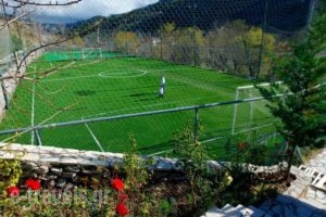 Mousses_best prices_in_Hotel_Peloponesse_Achaia_Kalavryta
