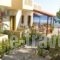 Talos Studios_accommodation_in_Hotel_Crete_Rethymnon_Plakias