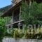 Hotel Papanikola_accommodation_in_Hotel_Peloponesse_Arcadia_Tripoli