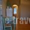 Psychogios Studios_lowest prices_in_Apartment_Peloponesse_Argolida_Ermioni