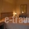 Psychogios Studios_holidays_in_Apartment_Peloponesse_Argolida_Ermioni