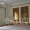 Vasso Afissos Studios_lowest prices_in_Apartment_Thessaly_Magnesia_Afissos
