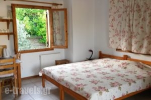 Vasso Afissos Studios_best prices_in_Apartment_Thessaly_Magnesia_Afissos