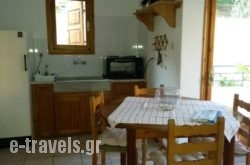 Vasso Afissos Studios_s __1