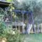Dimitra Family Hotel_best deals_Apartment_Peloponesse_Ilia_Skafidia